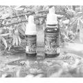 Terezia Company Rakytníkový olej 100% v kapkách 30ml