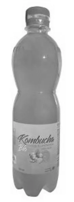 Stevikom Kombucha zázvor s limetkou 500ml Bio