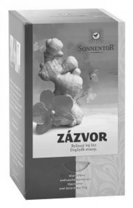 Sonnentor Čaj Zázvor 20x1 g Bio
