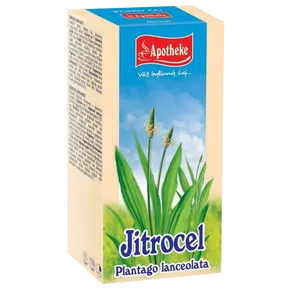 Apotheke Jitrocel čaj 20x1,5g