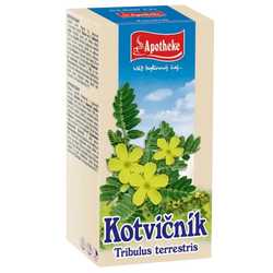 Apotheke Kotvičník čaj 20x1,5g