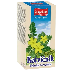 Apotheke Kotvičník čaj 20x1,5g