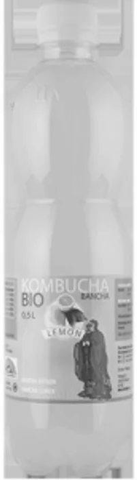 Stevikom Kombucha citron 500ml Bio