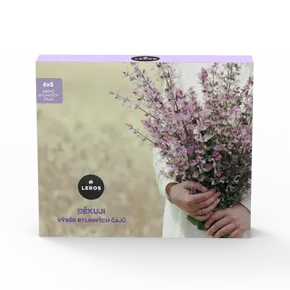 LEROS Dárková kazeta Děkuji 6x5 sáčků