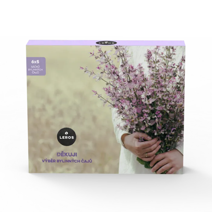 LEROS Dárková kazeta Děkuji 6x5 sáčků
