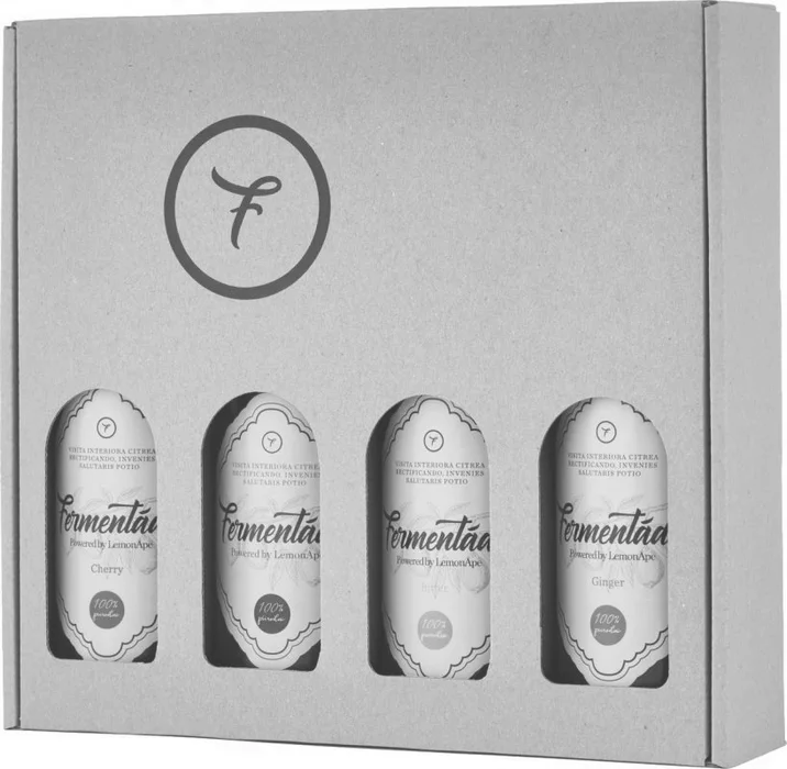 Fermentáda Mix Multipack 4x330ml