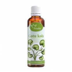 Serafin Tinktura z bylin Gotu kola 50 ml