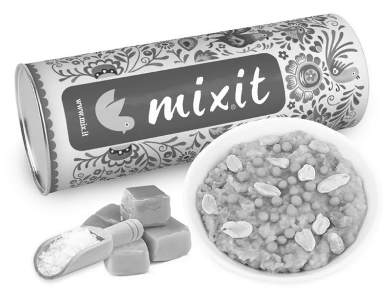 Mixit Slaný karamel na kaši 700g
