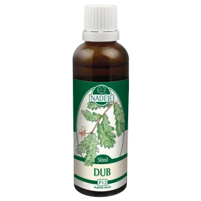 Naděje Tinktura z pupenů Dub letní 50ml