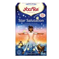 Yogi Tea Pozdrav hvězdám 17 x 1,9 g BIO