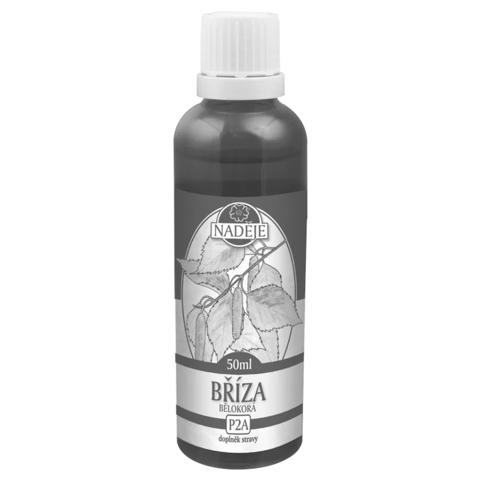 Naděje Tinktura z pupenů Bříza bělokorá 50ml