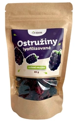 Ošatka Lyofilizované ostružiny 45 g