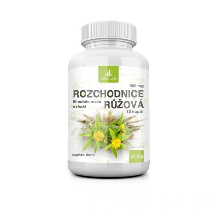 Allnature Rozchodnice růžová 500mg 60 kapslí